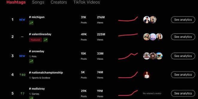 Cara Menggunakan Seo Di Tiktok Untuk Menjangkau Lebih Banyak Audiens